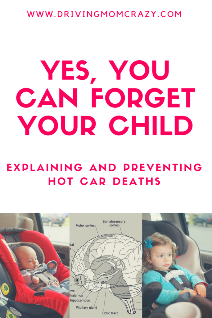 Hot car death pinterest graphic