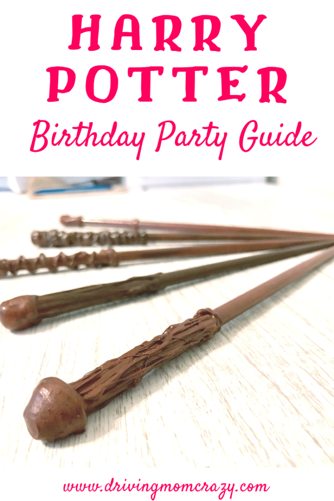 Harry Potter party pinterest pin