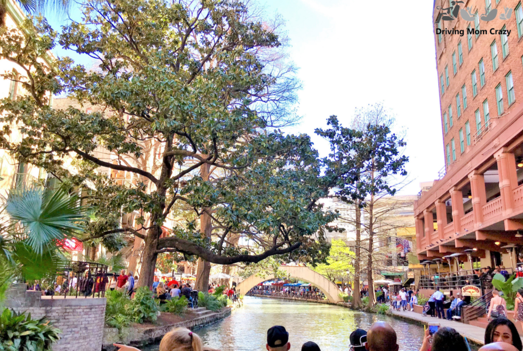 trees, restaurants, and music on the San Antonio riverwalk for the go rio river cruises riverboat tour