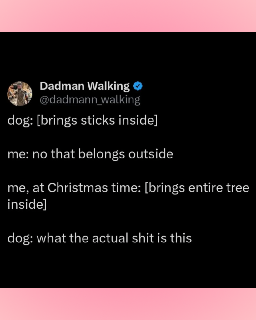 christmas memes about parenting